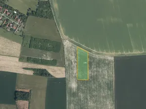 Prodej pole, Velenice, 6495 m2