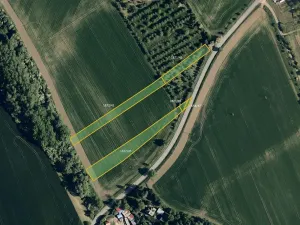 Prodej pole, Morkovice-Slížany, 3422 m2