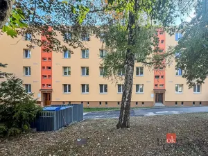 Prodej bytu 2+1, Bučovice, Vyškovská, 55 m2