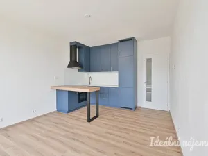 Pronájem bytu 2+kk, Brno, Rybářská, 52 m2
