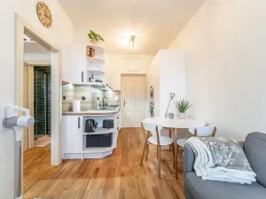 Pronájem bytu 2+kk, Praha - Dejvice, Studentská, 25 m2