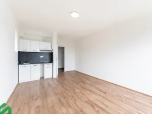 Pronájem bytu 1+kk, Praha - Břevnov, Na břevnovské pláni, 27 m2