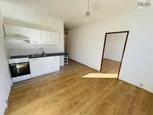 Pronájem bytu 1+1, Most, Marš. Rybalka, 35 m2
