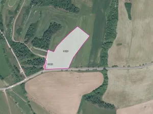 Prodej pole, Velký Bor, 34439 m2