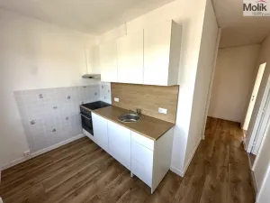 Pronájem bytu 2+1, Duchcov, Družby, 52 m2
