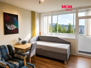 Pronájem bytu 1+kk, Ústí nad Labem - Ústí nad Labem-centrum, Hilarova, 21 m2