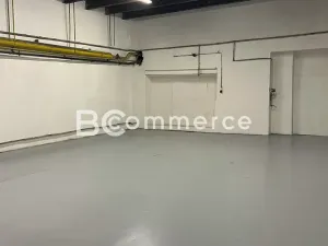 Pronájem výrobních prostor, Brno, 698 m2
