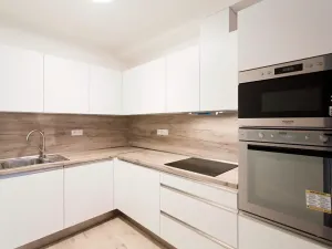 Pronájem bytu 2+kk, Praha - Nusle, V Horkách, 81 m2