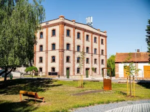 Pronájem obchodního prostoru, Dašice, Štenclova, 142 m2