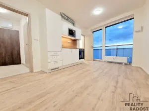 Pronájem bytu 1+kk, Brno, Provazníkova, 27 m2