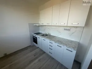 Pronájem bytu 1+1, Most, Javorová, 34 m2