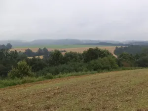Dražba louky, Radkov, 1834 m2
