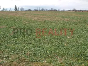Prodej pozemku pro bydlení, Velké Albrechtice, 1041 m2