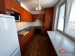 Pronájem bytu 3+kk, Opava - Předměstí, U Opavice, 68 m2