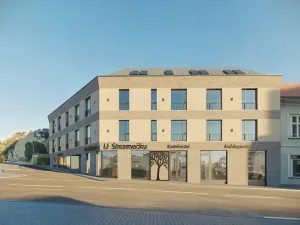 Pronájem obchodního prostoru, Praha - Zbraslav, Elišky Přemyslovny, 84 m2