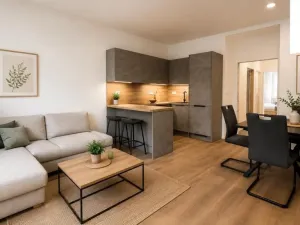 Pronájem bytu 2+kk, Praha - Žižkov, Jeseniova, 58 m2