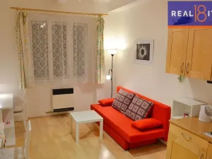 Pronájem bytu 1+kk, Praha, Pod Krocínkou, 23 m2