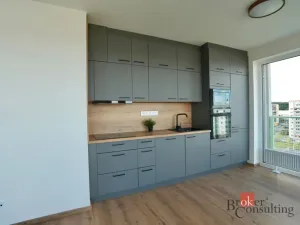 Pronájem bytu 2+kk, Plzeň - Bolevec, Krašovská, 53 m2