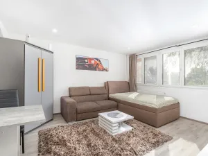 Prodej bytu 1+kk, Hradec Králové - Slezské Předměstí, Severní, 28 m2
