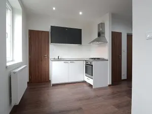Pronájem bytu 1+kk, Ostrava, Hasičská, 40 m2