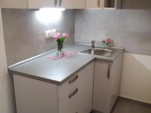 Prodej bytu 1+1, Ostrava - Hrabůvka, Dr. Martínka, 36 m2