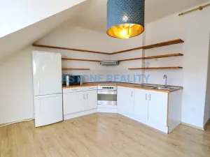 Pronájem bytu 1+kk, Praha - Břevnov, Hošťálkova, 54 m2