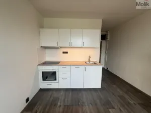 Pronájem bytu 1+1, Most, Marš. Rybalka, 35 m2