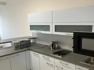 Pronájem bytu 1+1, Praha - Karlín, Thámova, 46 m2