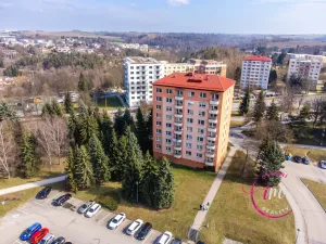 Pronájem bytu 1+1, Jihlava, Březinova, 36 m2