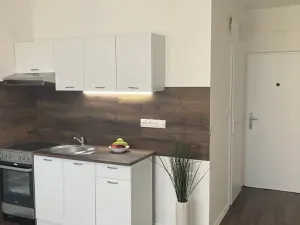 Prodej bytu 1+1, Chomutov, 17. listopadu, 36 m2