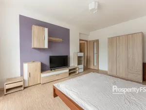 Pronájem bytu 1+1, Boskovice, Mánesova, 33 m2