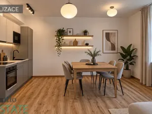 Pronájem bytu 3+kk, Plzeň, Klatovská třída, 94 m2