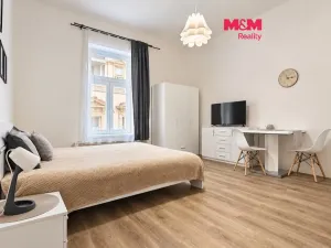 Pronájem bytu 1+kk, Praha - Nové Město, Petrská, 30 m2