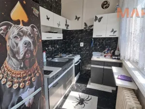 Prodej bytu 1+1, Most, Růžová, 26 m2