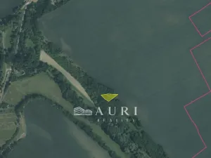 Prodej lesa, Peruc, 910 m2