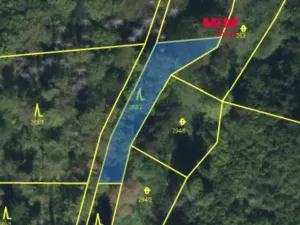 Prodej lesa, Řepníky, 562 m2