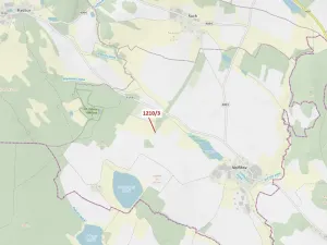 Dražba lesa, Volfířov, 29 m2