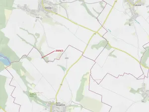 Dražba lesa, Horní Dunajovice, 164 m2