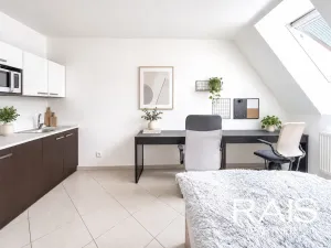 Prodej bytu 1+kk, Brno - Husovice, Svitavská, 30 m2