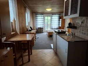 Pronájem bytu 1+kk, Brno, Viniční, 29 m2