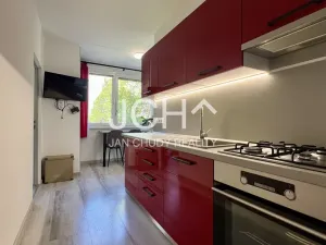 Prodej bytu 3+1, Litovel, Novosady, 71 m2