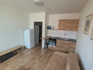 Pronájem bytu 1+kk, Most, U Věžových domů, 22 m2