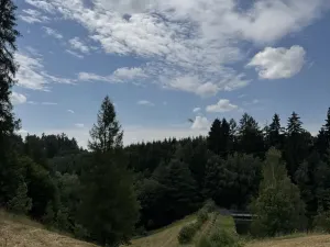 Prodej lesa, Jedlí, 10342 m2