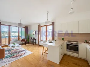 Pronájem bytu 4+kk, Praha - Motol, Plzeňská, 95 m2