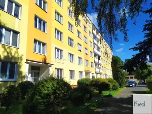Pronájem bytu 2+1, Chodov, Husova, 48 m2
