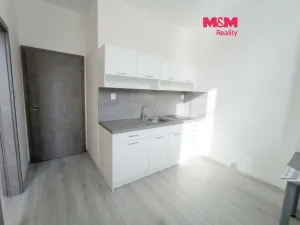 Pronájem bytu 1+1, Frýdek-Místek - Frýdek, Růžový pahorek, 28 m2