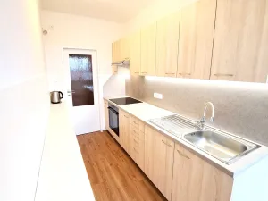 Pronájem bytu 1+1, České Budějovice, Kubatova, 50 m2
