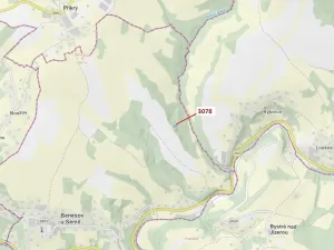 Dražba lesa, Benešov u Semil, 1110 m2