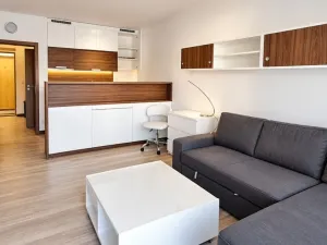 Pronájem bytu 1+kk, Olomouc, Janského, 32 m2