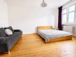 Prodej bytu 1+1, Ústí nad Labem, Palachova, 47 m2
